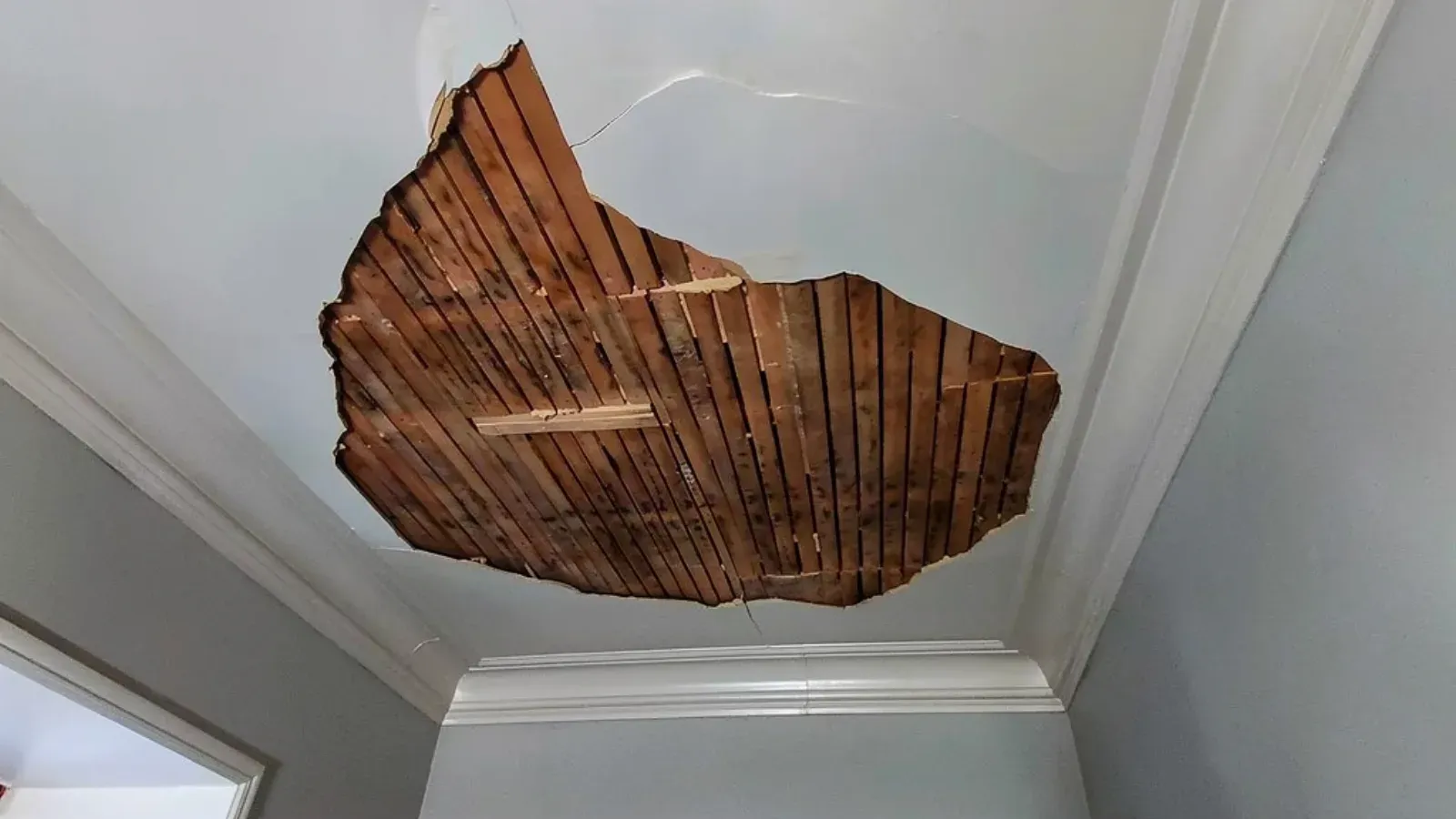 Large section of ceiling plaster fallen away to expose the wood lath behind it, viewed from across the room above painted crown molding